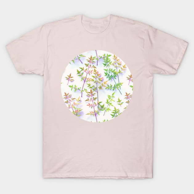 Leaves in the Light T-Shirt by micklyn